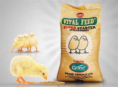 Chicken Feeds Price List in Nigeria (June 2024).